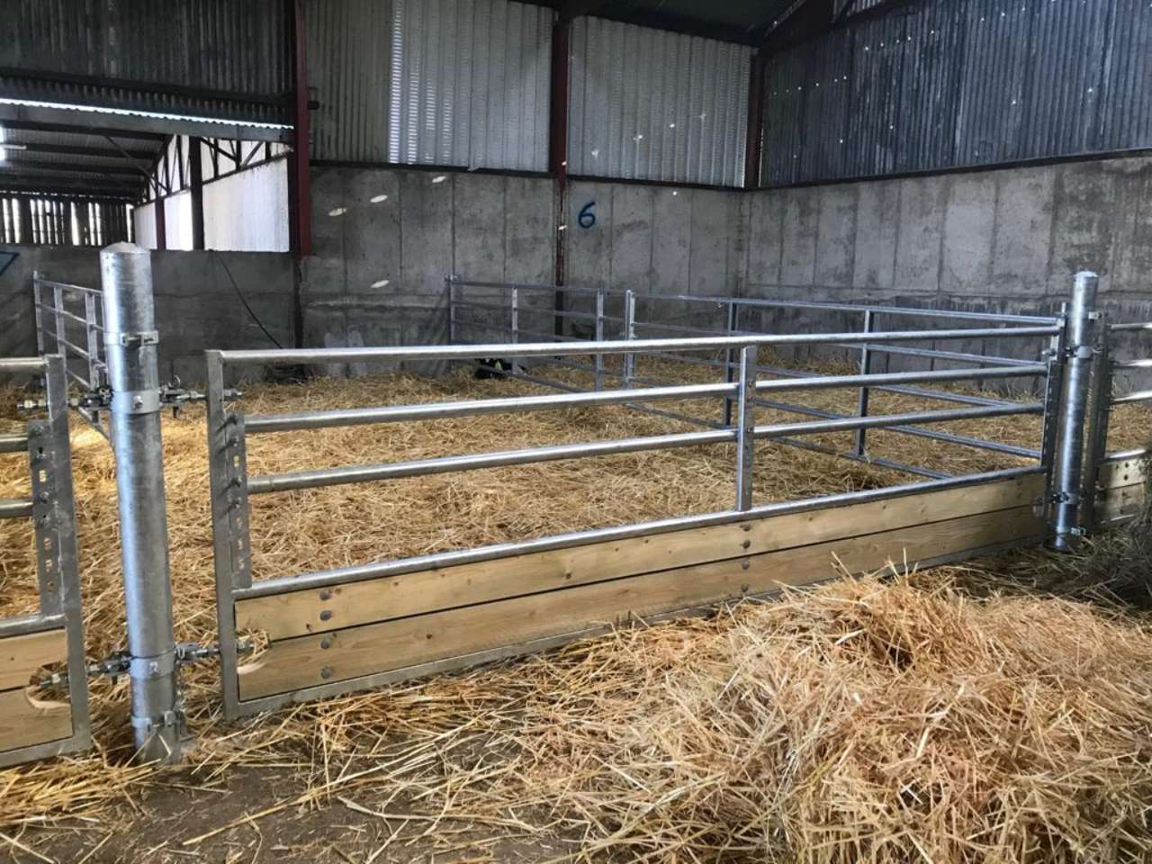 Calf Feed Barrier 4