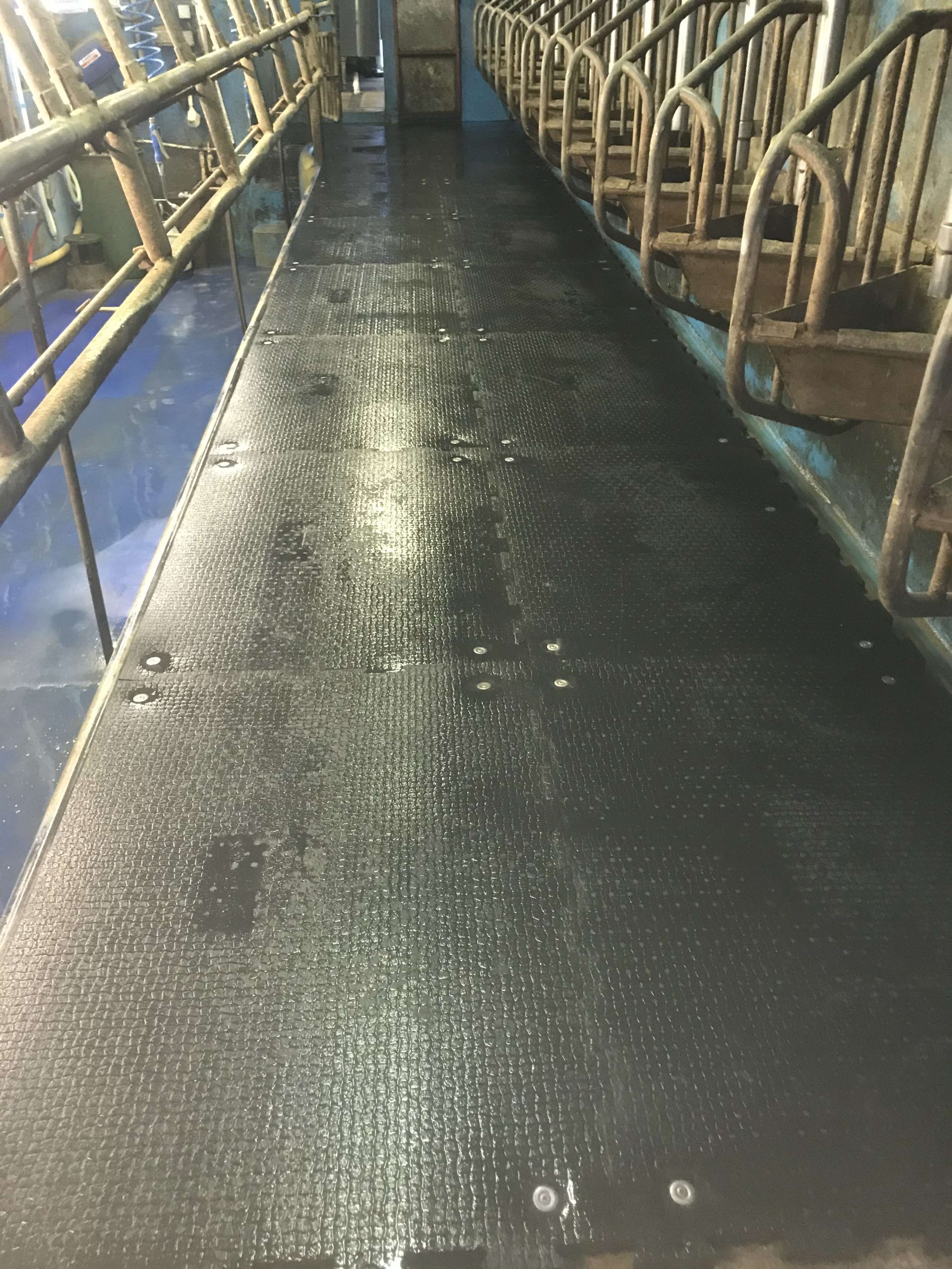 Walkway Matting 6